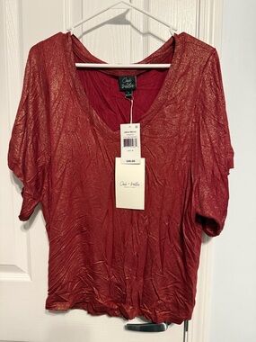 Oak + Thread Red Metallic V-Neck Short Sleeve Top